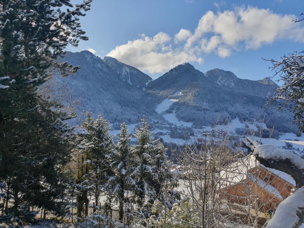 Chalet Tante Emma Vacheresse Luaran gambar