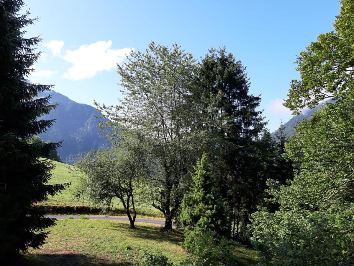 Chalet Tante Emma Vacheresse Luaran gambar