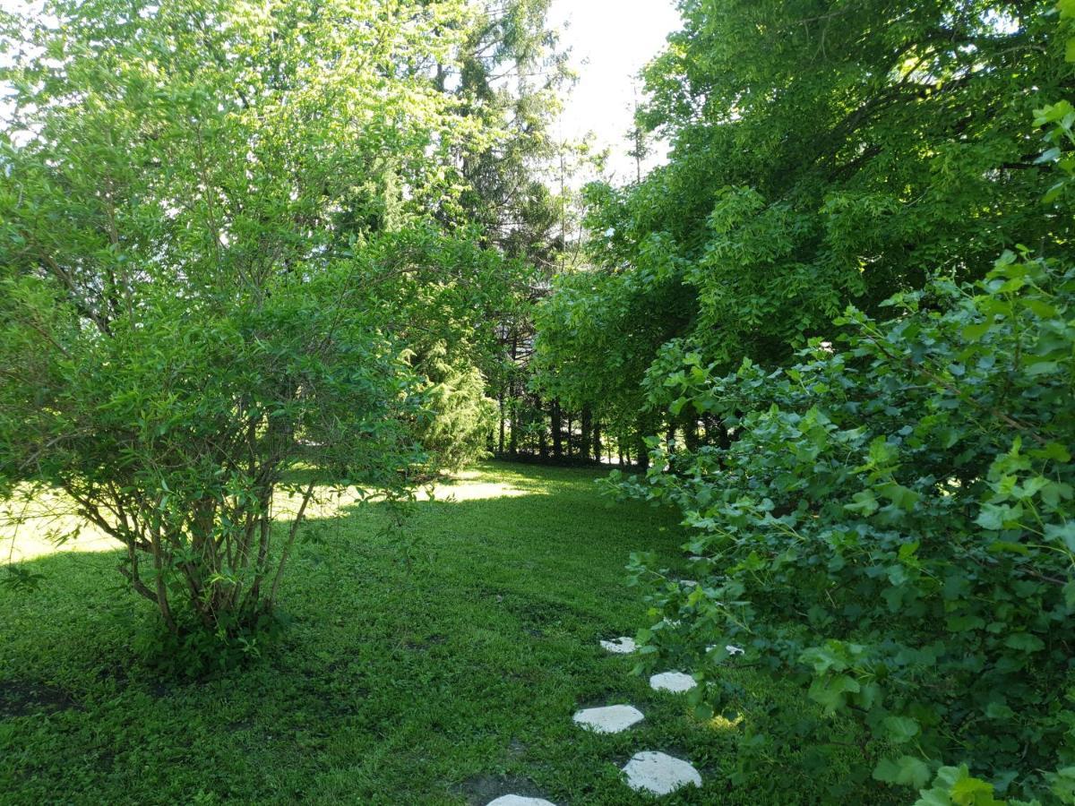 Chalet Tante Emma Vacheresse Luaran gambar