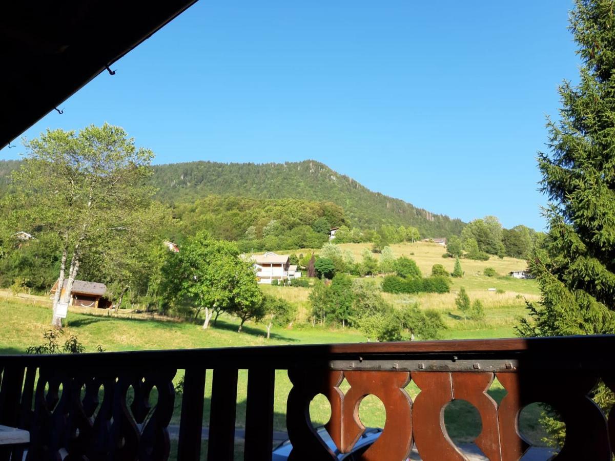 Chalet Tante Emma Vacheresse Luaran gambar